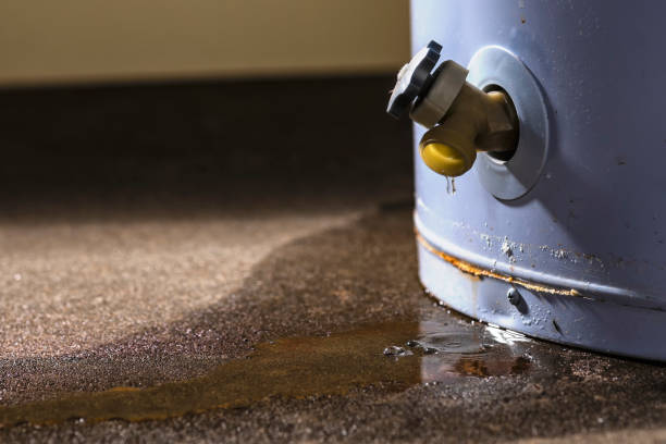 Best Carpet water damage restoration  in Kirkland, IL