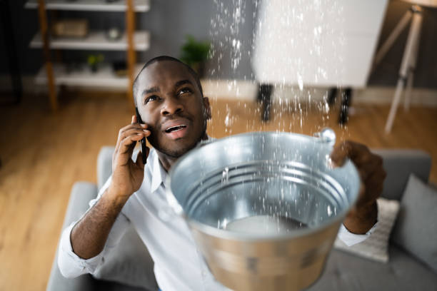Best Sewage cleanup and water damage restoration  in Kirkland, IL