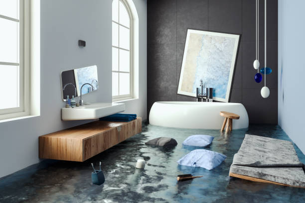 Best Local water damage restoration  in Kirkland, IL