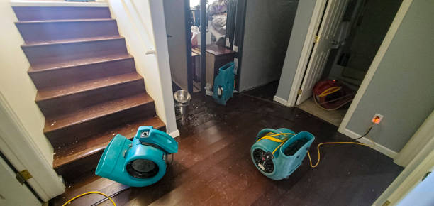 Best Flooded house restoration  in Kirkland, IL