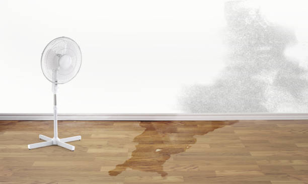 Best Residential water damage restoration  in Kirkland, IL