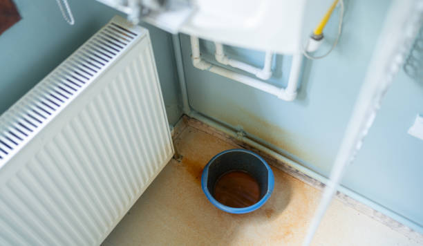 Best 24-hour water damage restoration  in Kirkland, IL