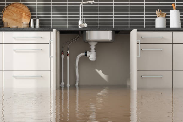 Best Professional water damage repair  in Kirkland, IL